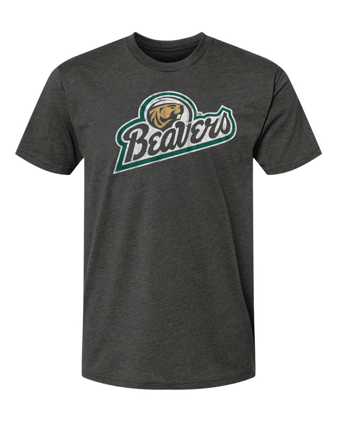 Bemidji State University Beavers Script Logo Unisex T-shirt Mock Up