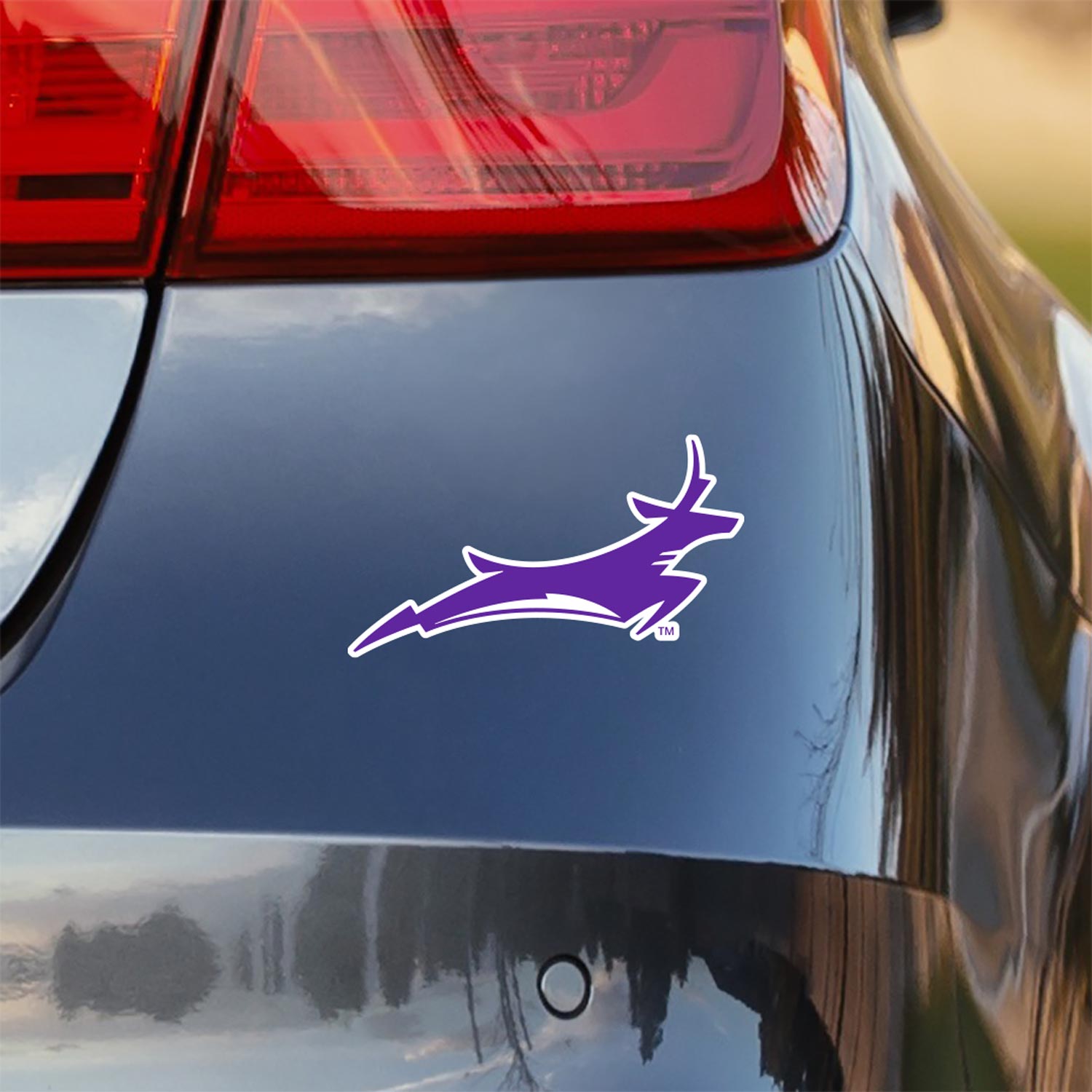 Grand Canyon University GCU Antelope Collegiate Car Sticker Decal ...