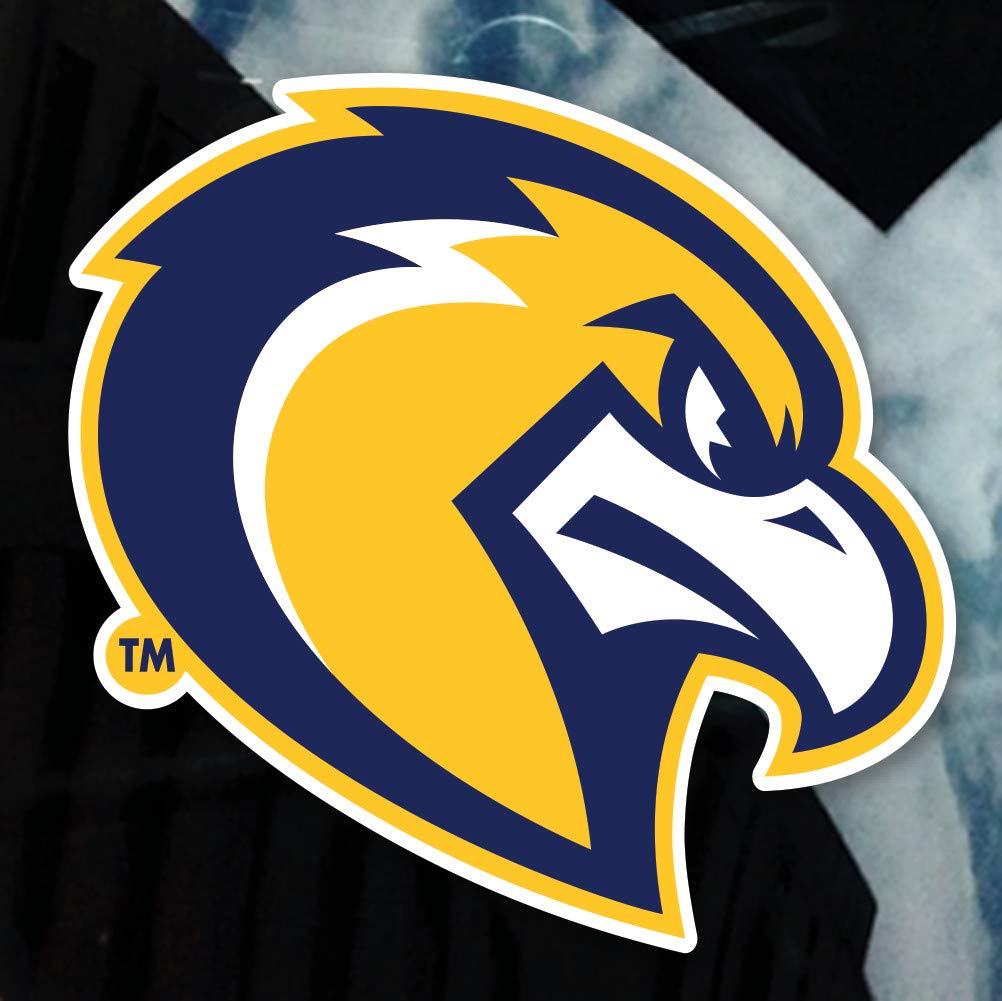 Marquette University Golden Eagles Logo Car Decal – Nudge Printing