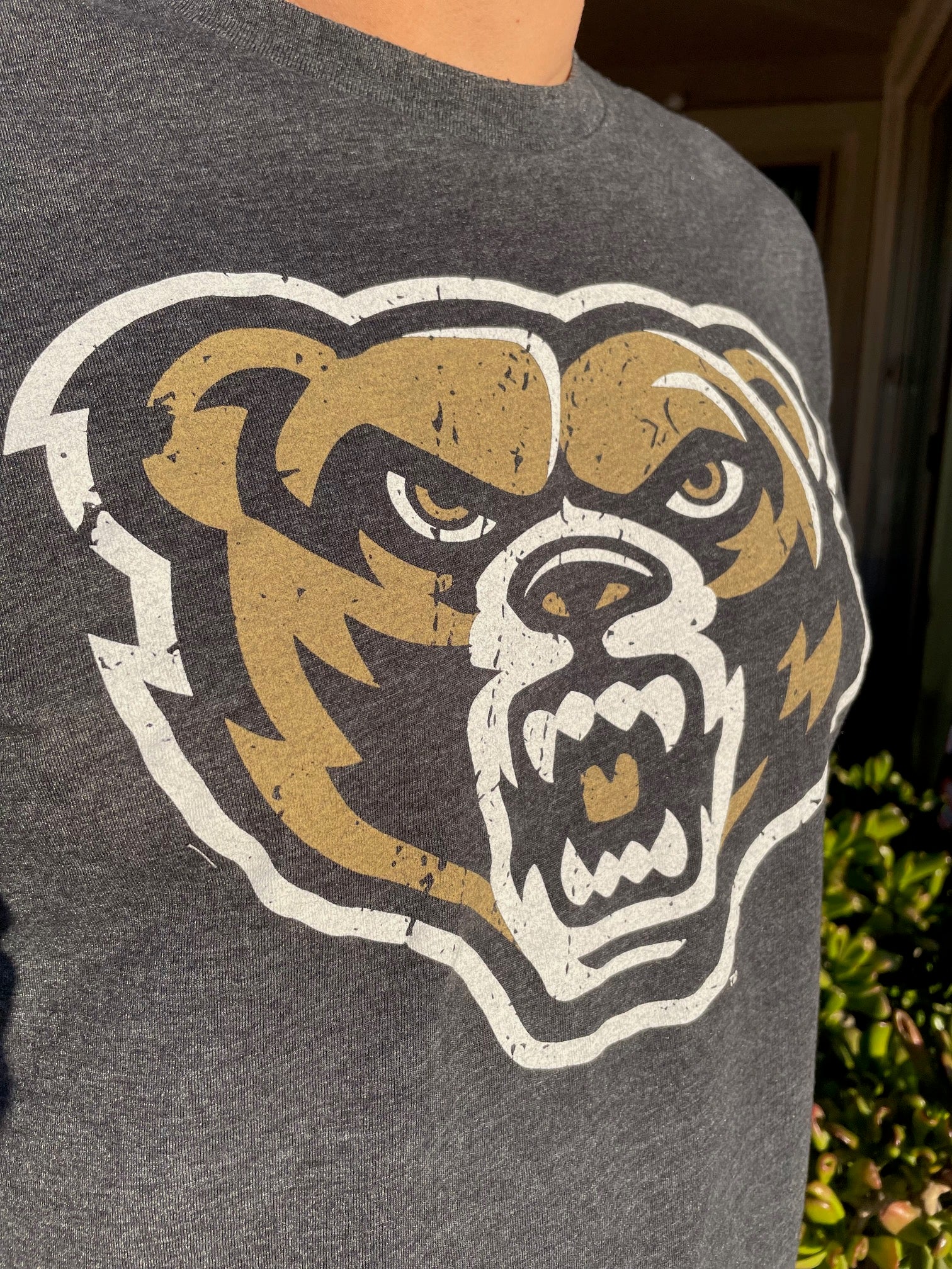 Oakland university sweatshirt hotsell